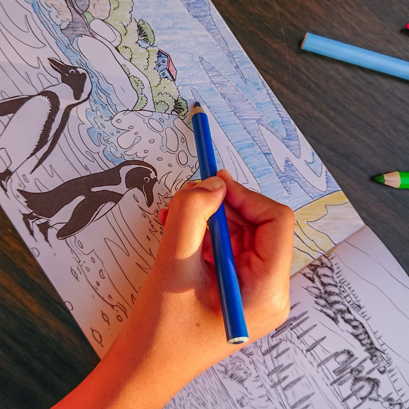 World Book for Colouring