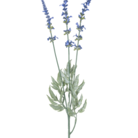 Artificial branch Lavender 66 cm blue
