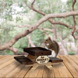 Funny Squirrel and Chipmunk Feeder For Outside, Picnic Table Feeder for Squirrels, Tray for Fruit and Nuts, Wildlife animal wooden bench