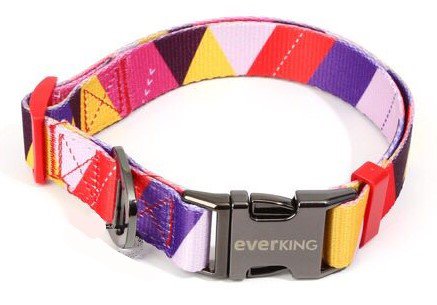Dog Collar Multicolor - 4001-3