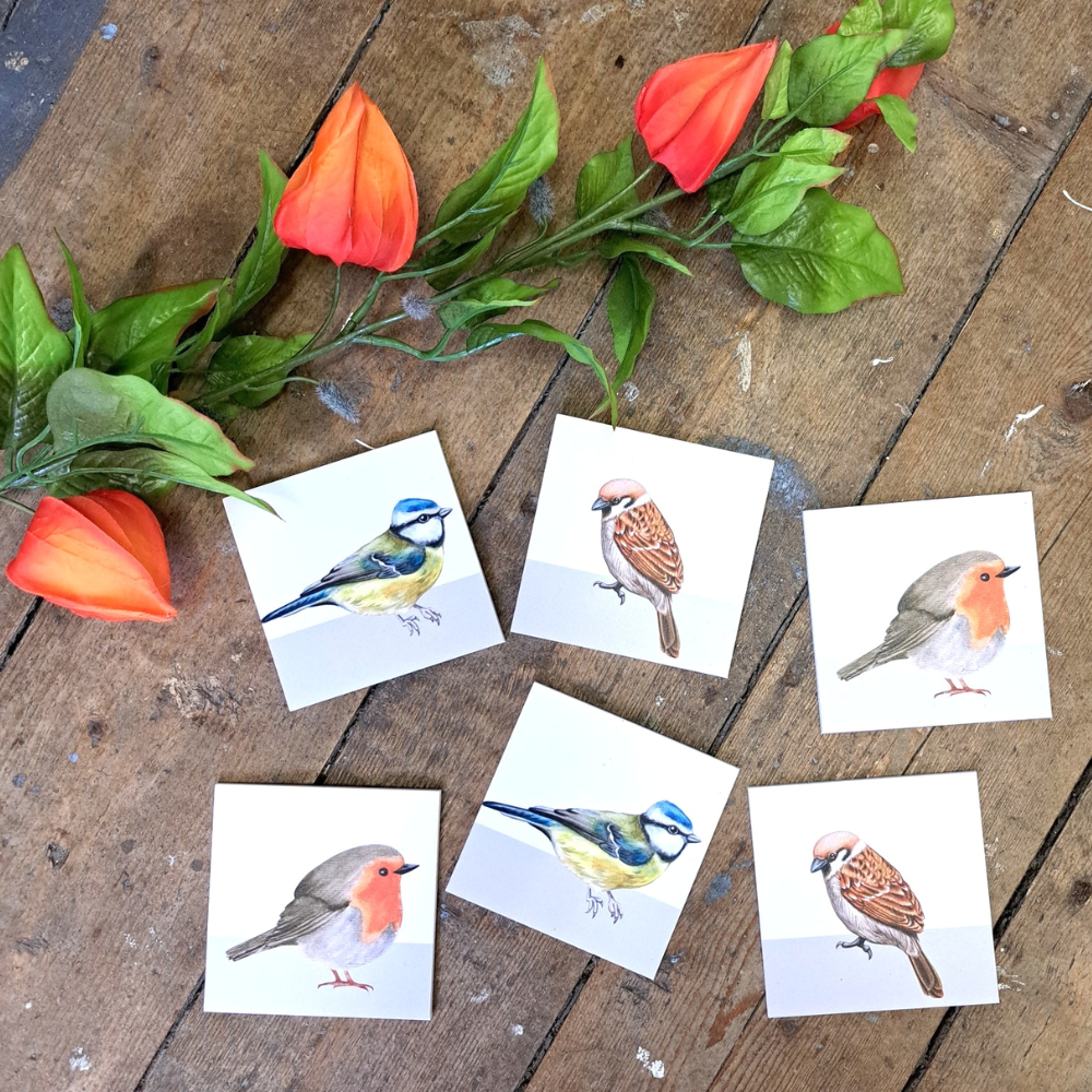 Posavasos pájaros