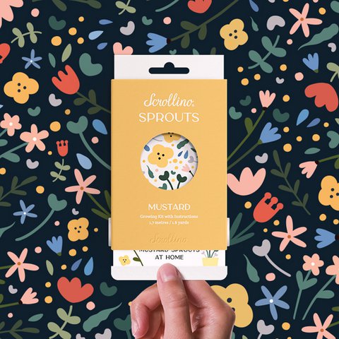 Growing Kit with Activities - Scrollino Mustard Sprouts