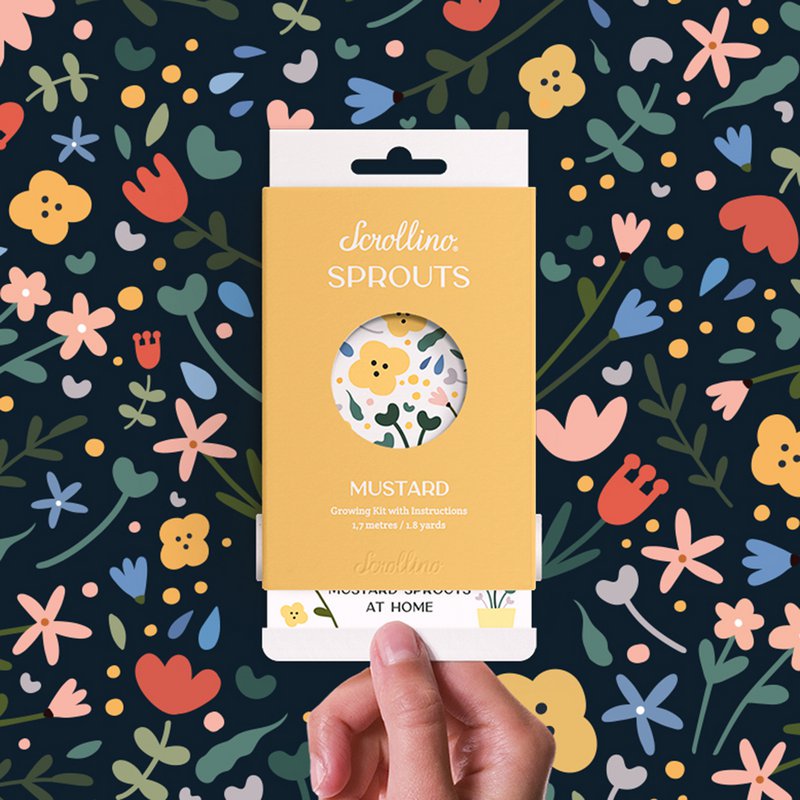 Kit in crescita con attività - SCHROLLO Mustard Sprouts