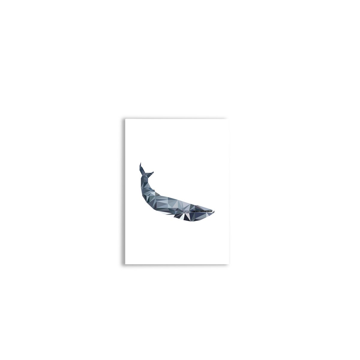 Baleine