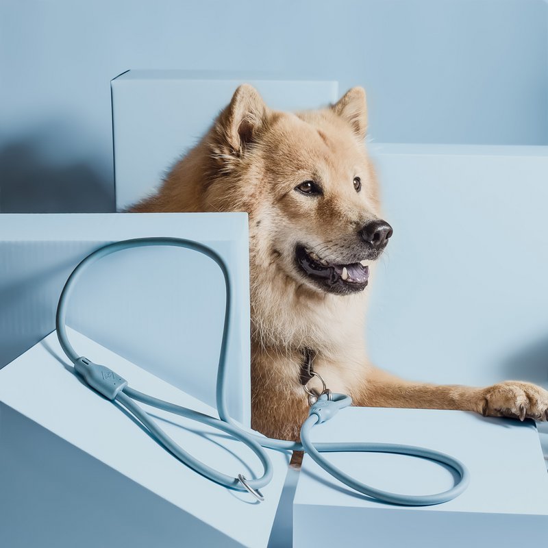 NE & No® Dog Lease "Loft Style" - Weerbestendig