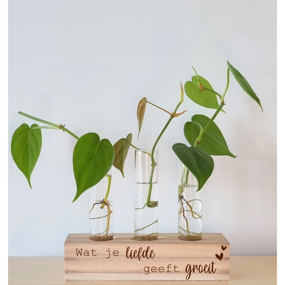 Cutting holder - 3 vases