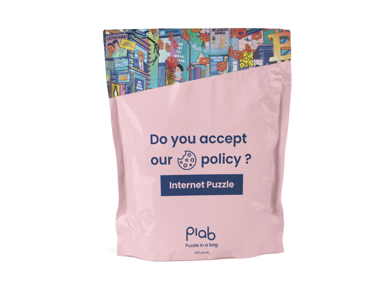 The Internet Puzzle