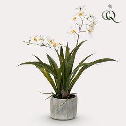 Kunstig plante - Orkidé - Hvid - 45cm