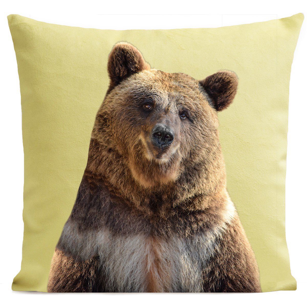 Bear cushion, Mr. Bear