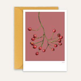 Winter Embrace - RedBerry 05, Grußkarte + Umschlag