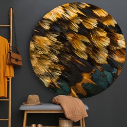 Plumas de gallo