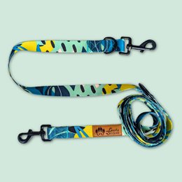 Multi-position reef leash
