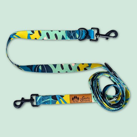 Multi-position reef leash