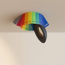 Wunschfarbe/Schwarz Neutralweiß (4000K)
