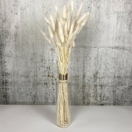 Erba secca di coda di coniglio