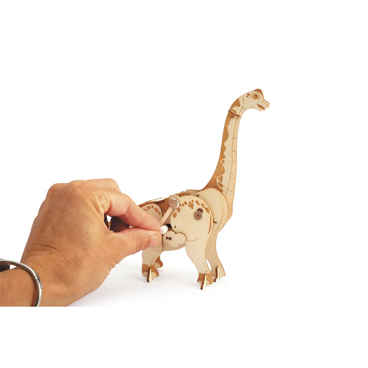 WOODEN MODEL 3D MECHANICAL DIPLODOCUS