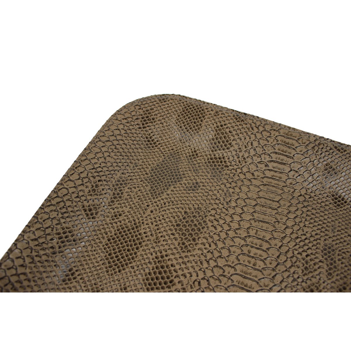 Plateau plat petit reptile marron