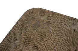 Plateau plat petit reptile marron