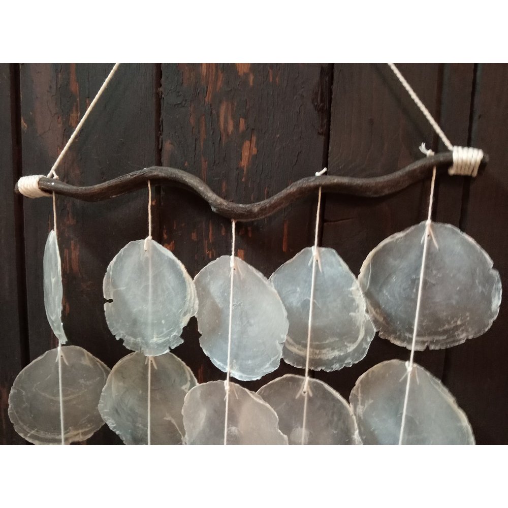 Shell pendant 1
