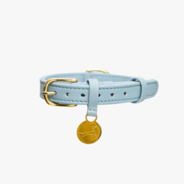 Leather dog collar with name tag, classic style, light blue color.