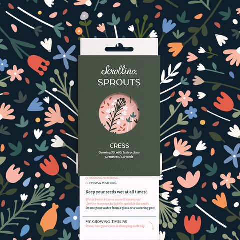 Growing Kit with Activities - Scrollino Cress Sprouts