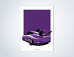 Porsche GT3 RS