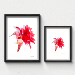 Kaktus-Kolibri - Art Prints