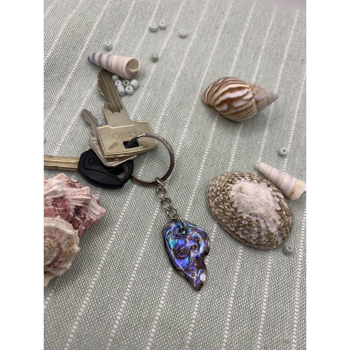 Abalone Keychain: Unique Abalone shell Keyring Accessory for Ocean Lovers