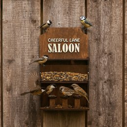 Mangeoire à oiseaux en bois « Saloon », décor élégant de jardin et de balcon, cadeau pour les amoureux des oiseaux