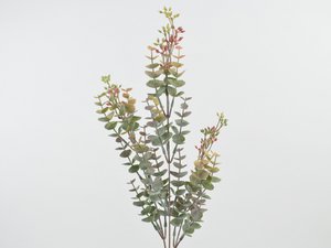Eucalyptustak x3, 68cm, groen-rood