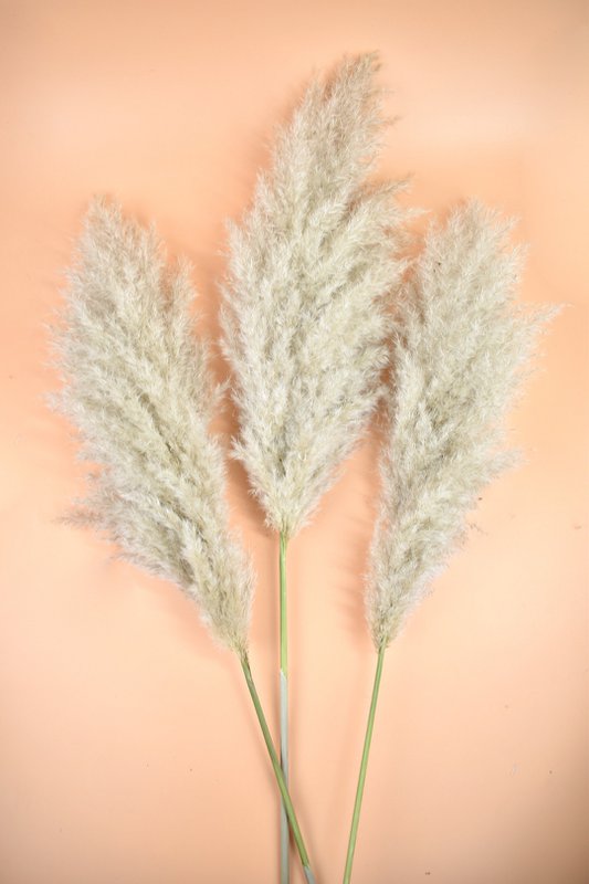 Plumas XL Fluffy Pampas - Cortaderia - Natural - 100cm