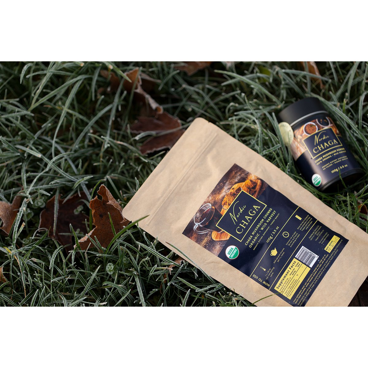 Organiczne kawałki grzyba Chaga 'NORDIC CHAGA' (100g)