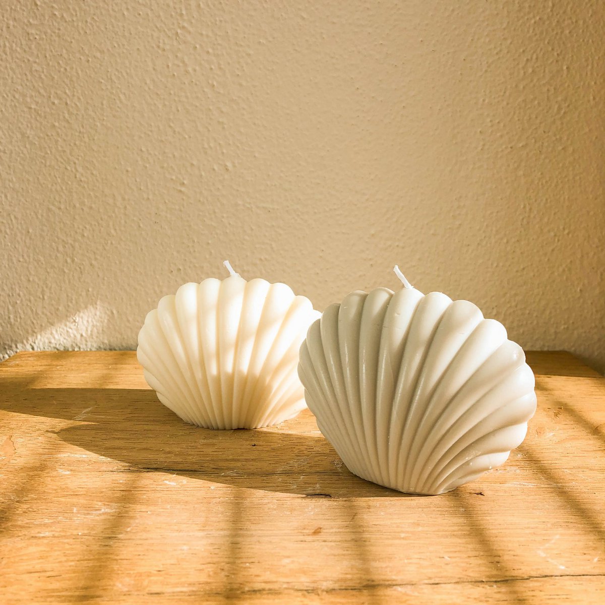 Muschelkerze