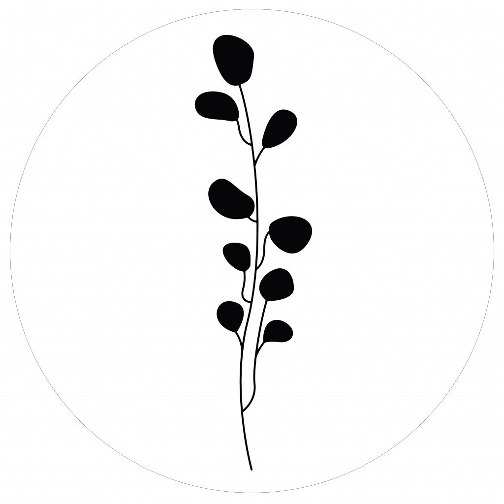 Muurcirkel leaves wit