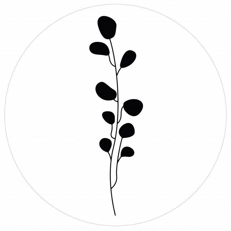Muurcirkel leaves wit