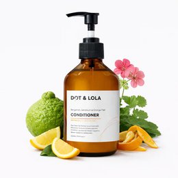 Balsamo Riparatore per Capelli Colorati Danneggiati