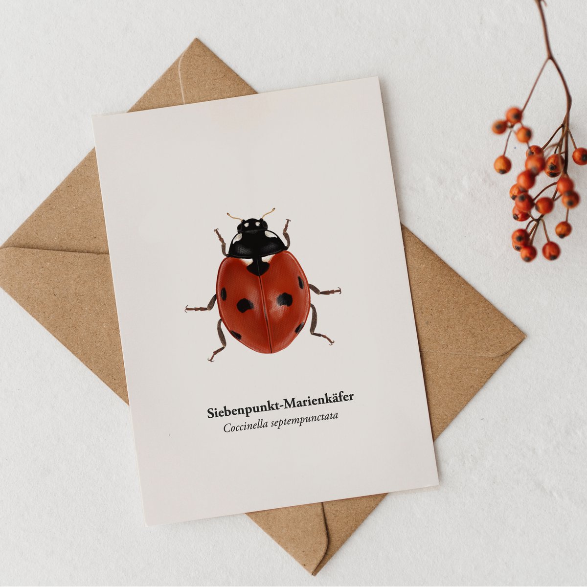 Marienkäfer Postkort - Natural illustration af høj kvalitet og heldig charme