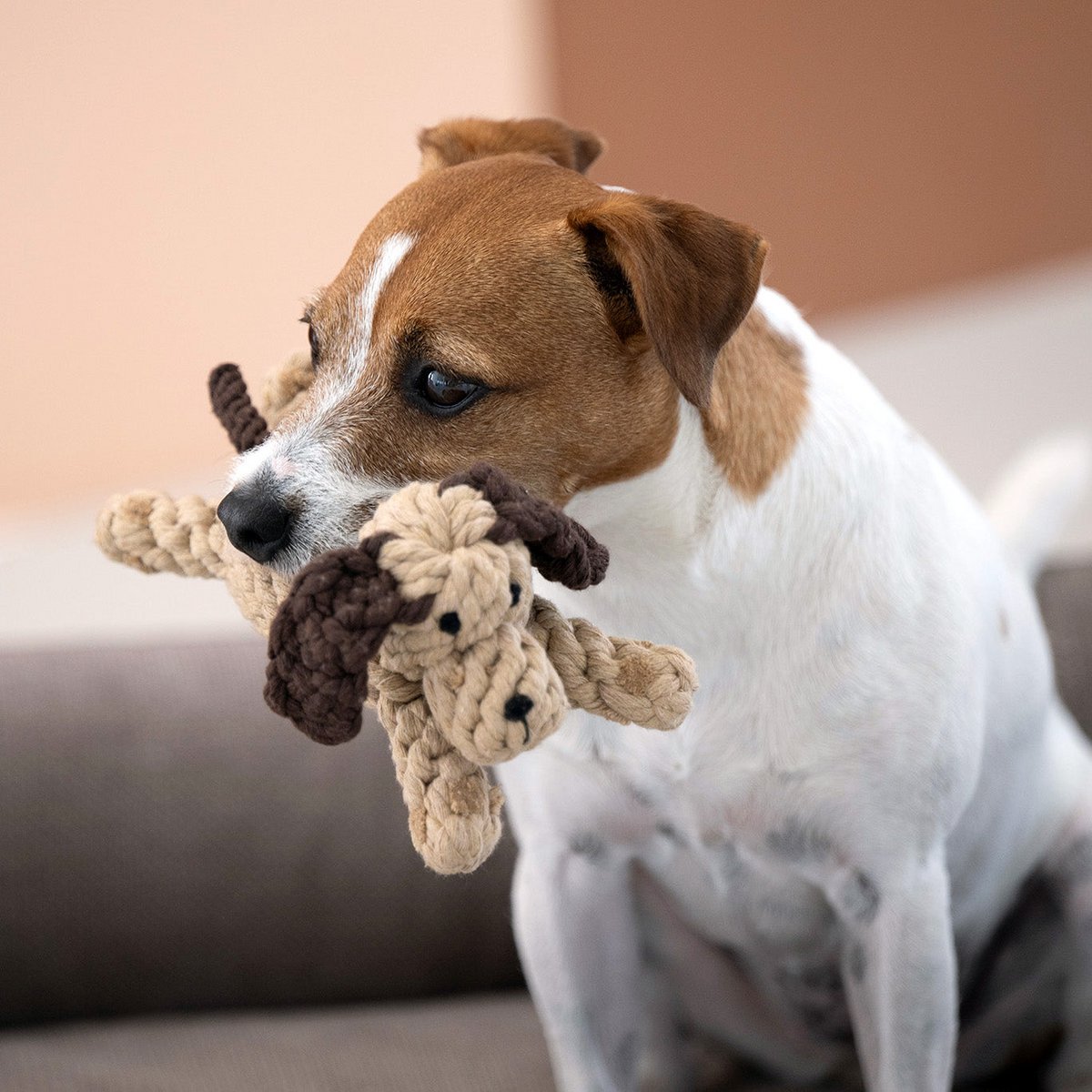 Doggy Dog Jr. - giocattolo cult per cani