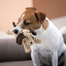 Doggy Dog Jr. - kultlegetøj til hunde