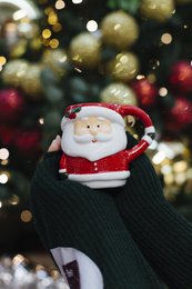 JULEMANDSKRUS