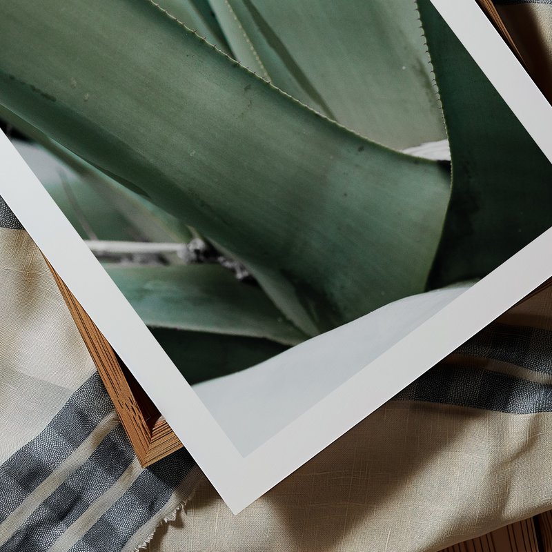 Poster: Agave