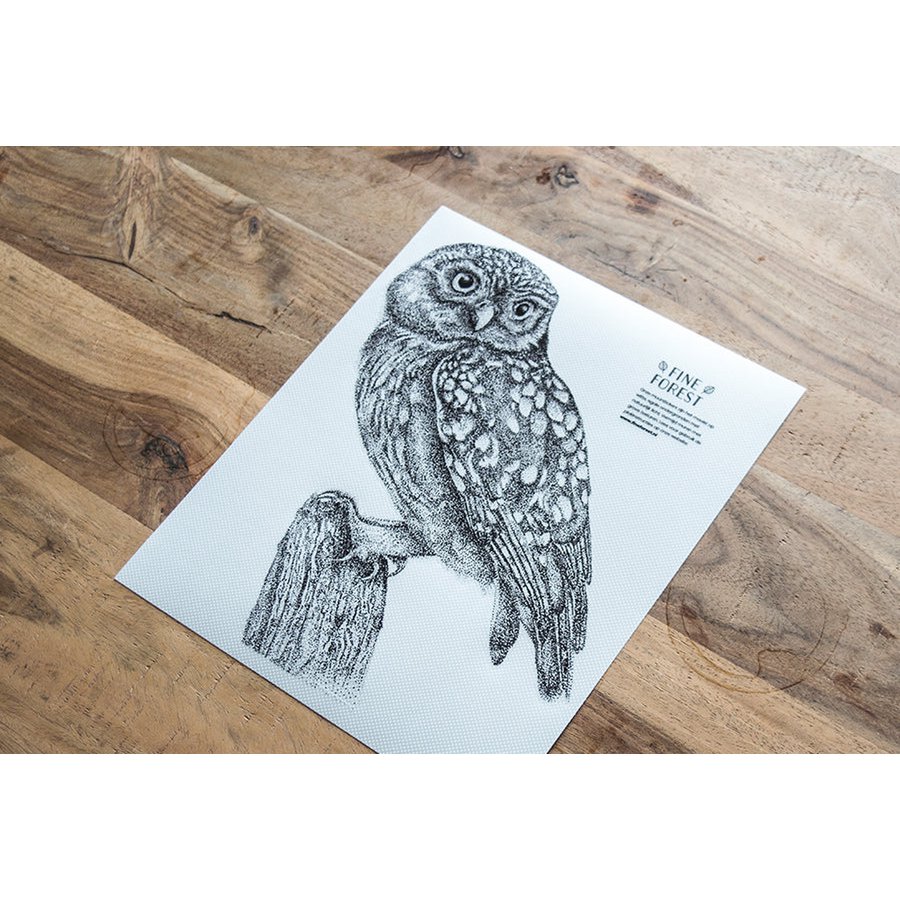 Sticker mural petite chouette