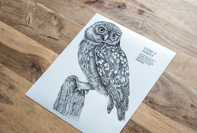 Lille ugle wallsticker