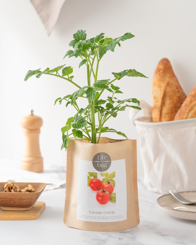 Grow Bag Cherry Tomato