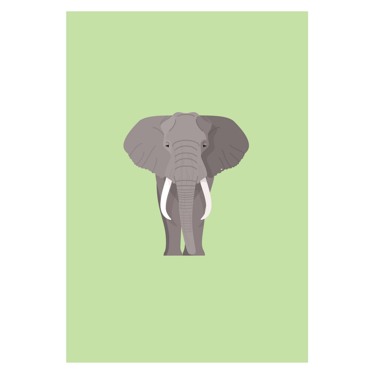 Olifant Poster