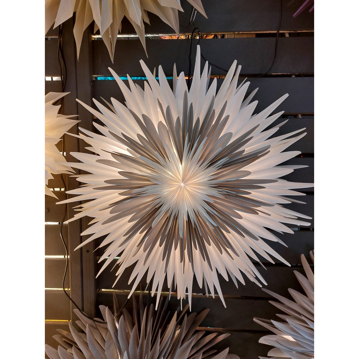 Stella-Dalia, papel pergamino blanco-gris-blanco 60 cm