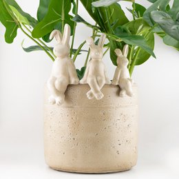 Earthenware flower pot beige L