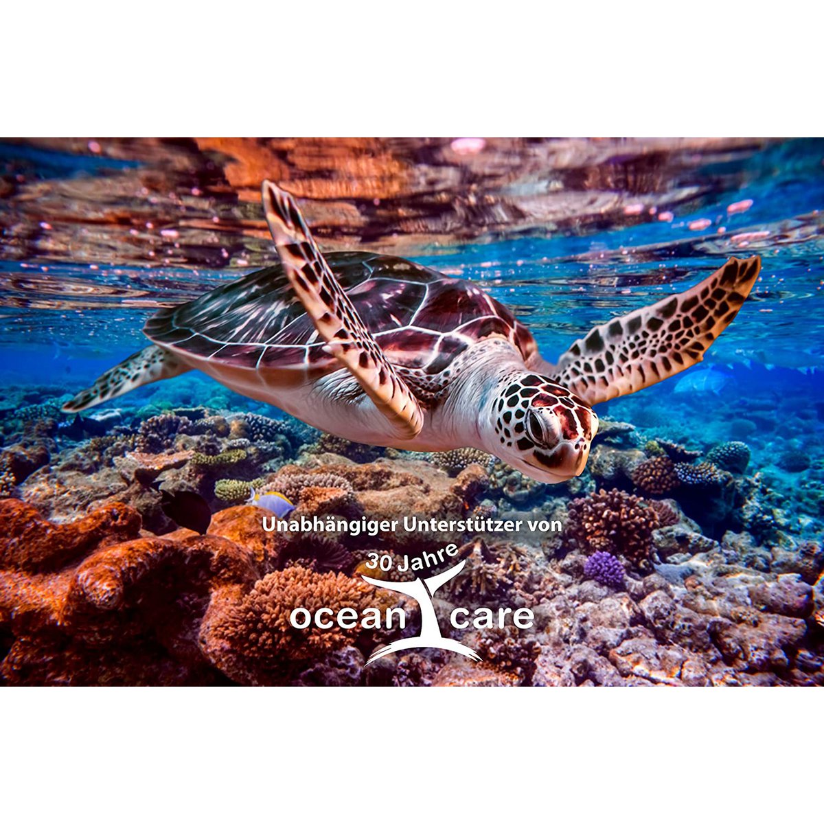 Beach towel 100% cotton Lava Stone 170x100
