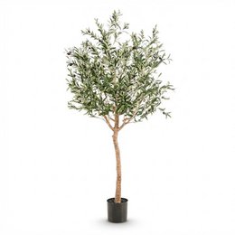 Green boutiQ