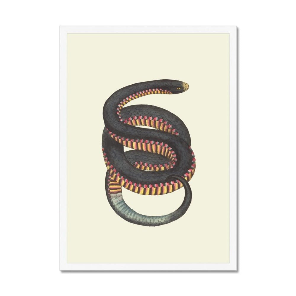 Serpent